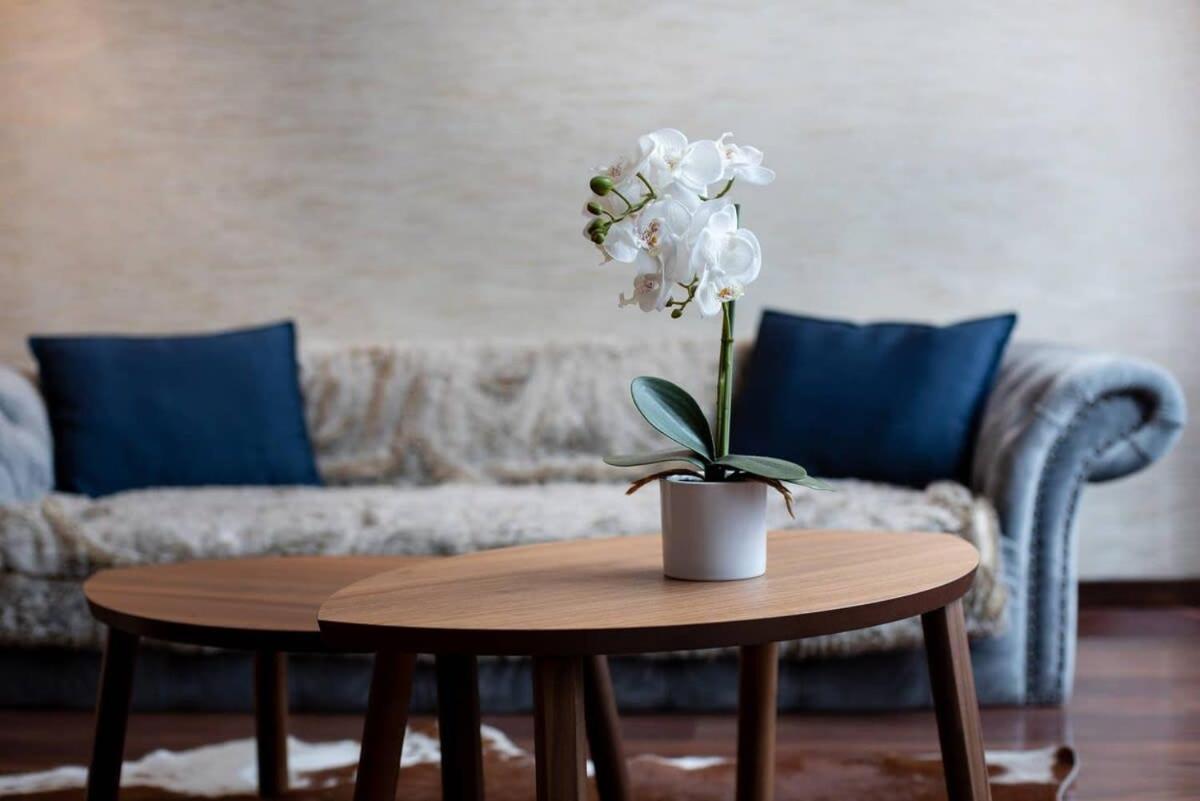 Apartamento Luxy Design